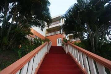 Hillside Apartments Κίνγκσταουν Εξωτερικό φωτογραφία